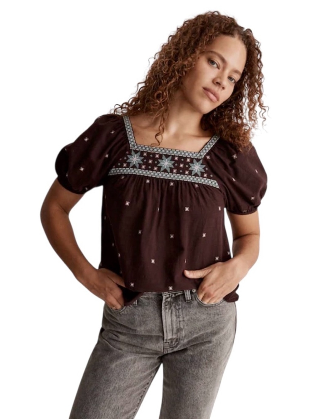 Madewell Embroidered Crinkle Cotton Bubble-Sleeve Top Brown Blue Size XS #2117